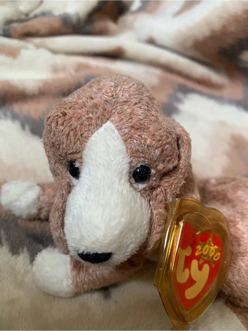 TY Beanie Baby - SNIFFER the Dog (6.5 inch) - Stuffed Animal Toy